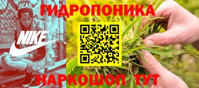 стаф Краснодар