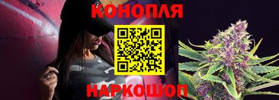 стаф Краснодар