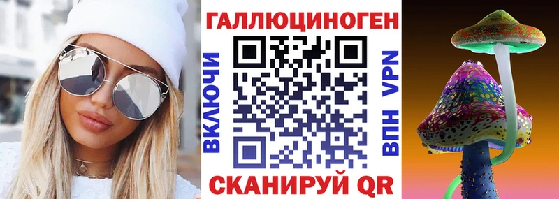 Псилоцибиновые грибы мицелий  Кизилюрт 