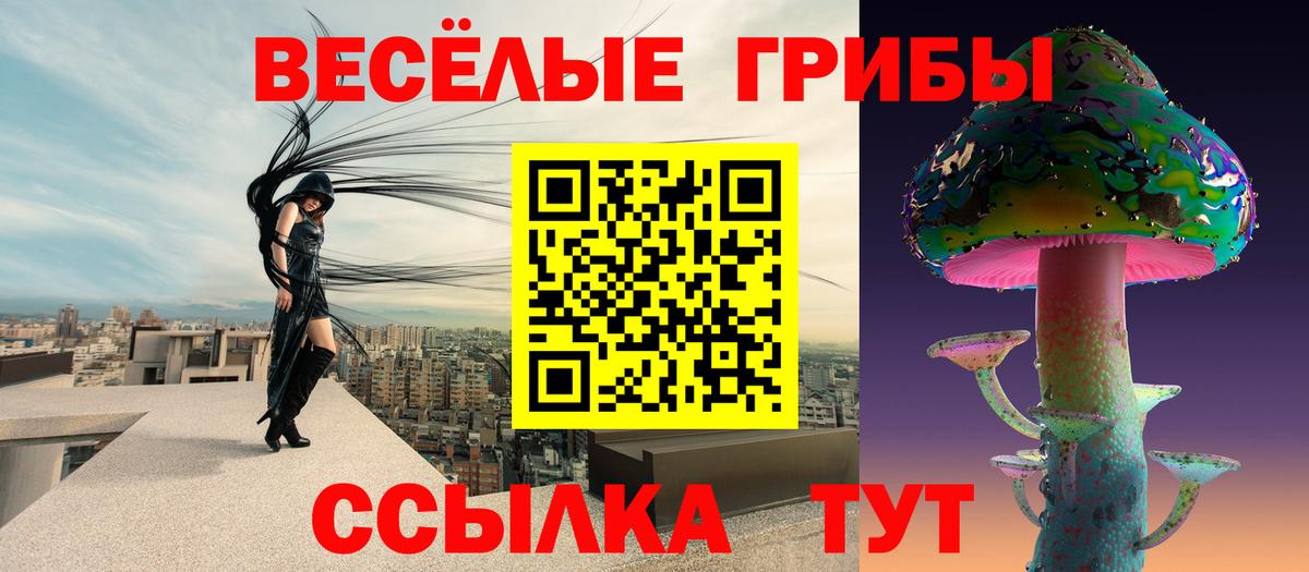 Галлюциногенные грибы ЛСД  Псилоцибиновые грибы Cubensis  Кизилюрт  Вход с VPN 